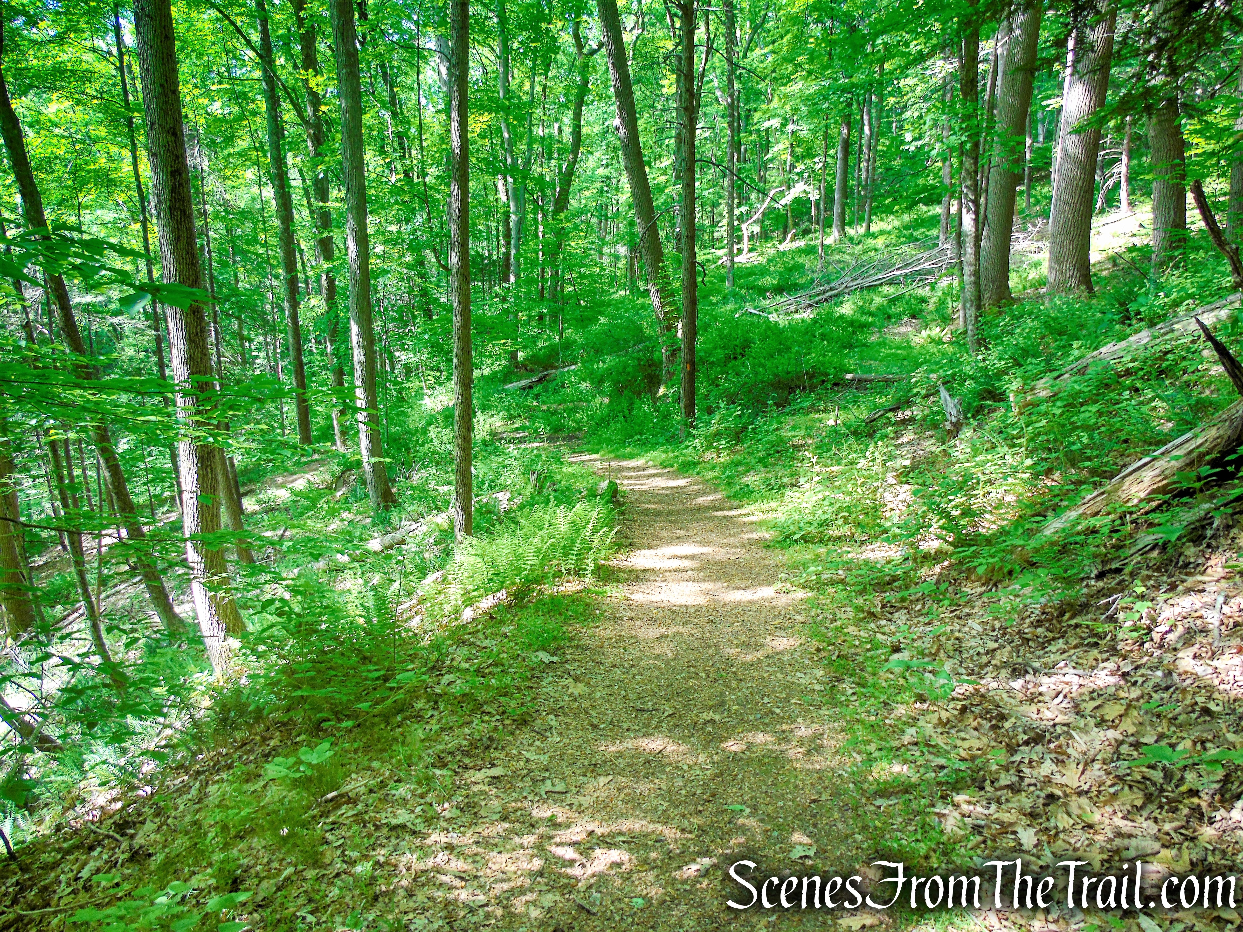 Orange Trail - Black River County Park