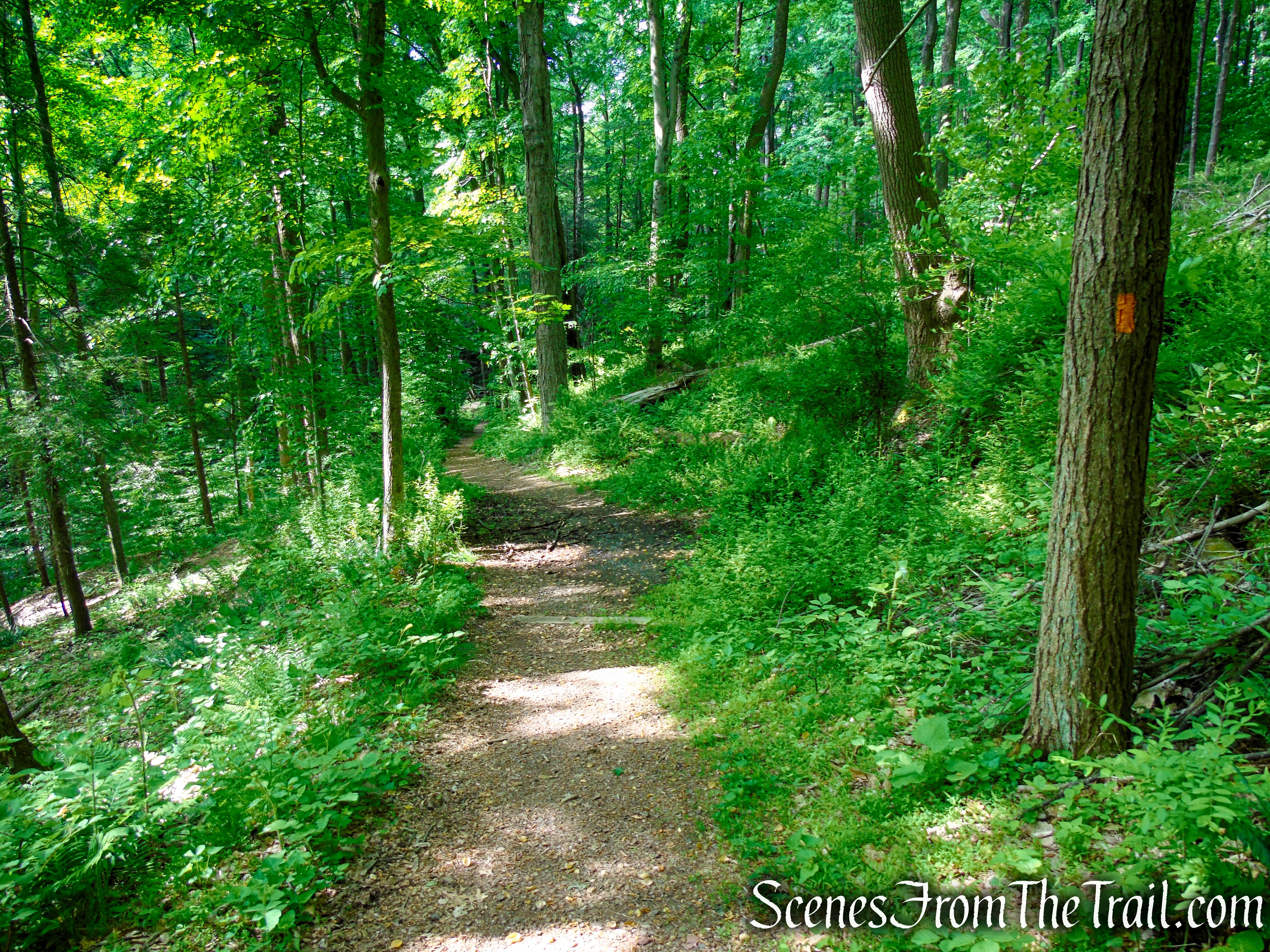 Orange Trail - Black River County Park