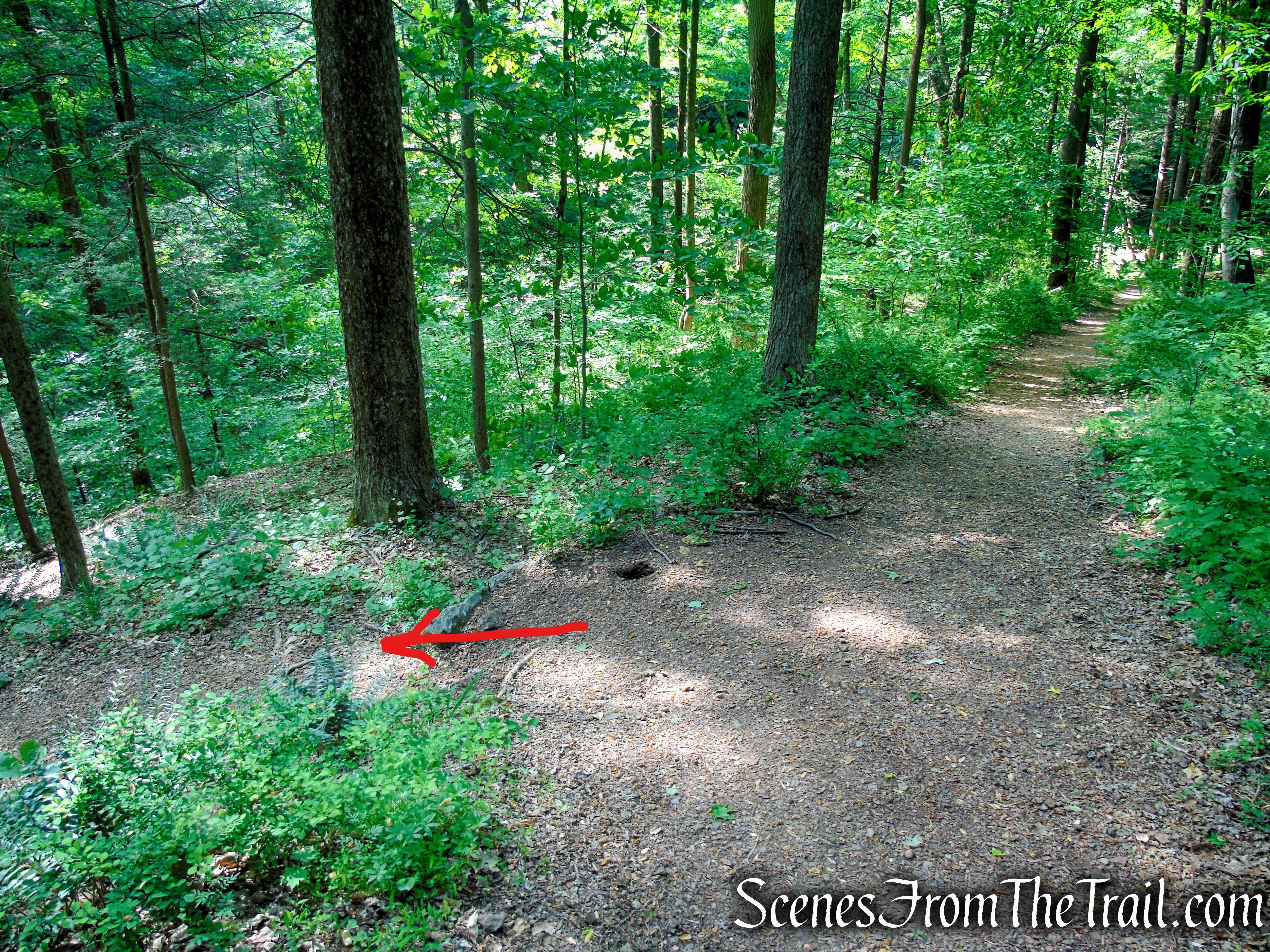 Turn left and descend the stone steps towards the Black River