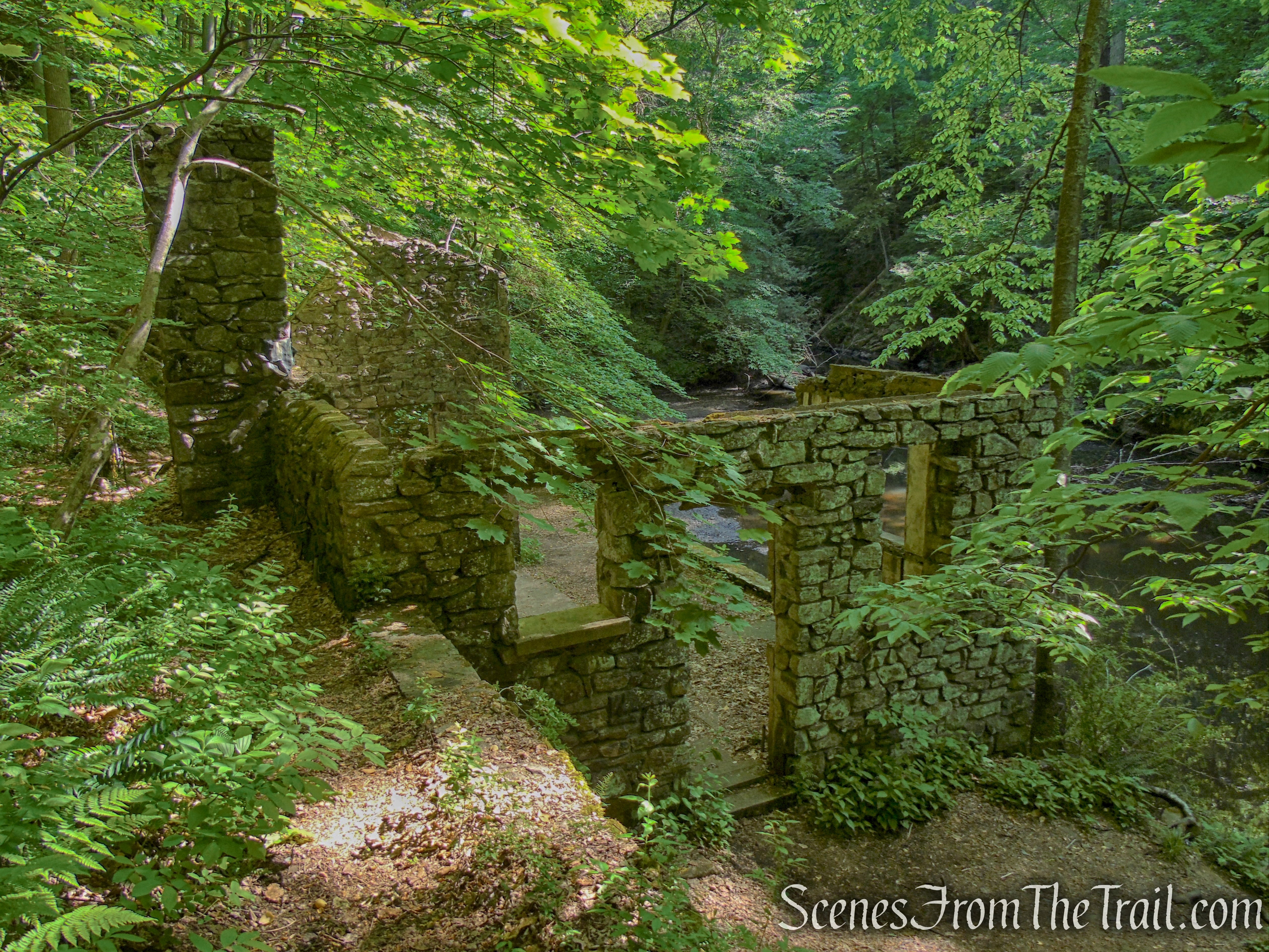Kay's Cottage Ruins - Black River County Park