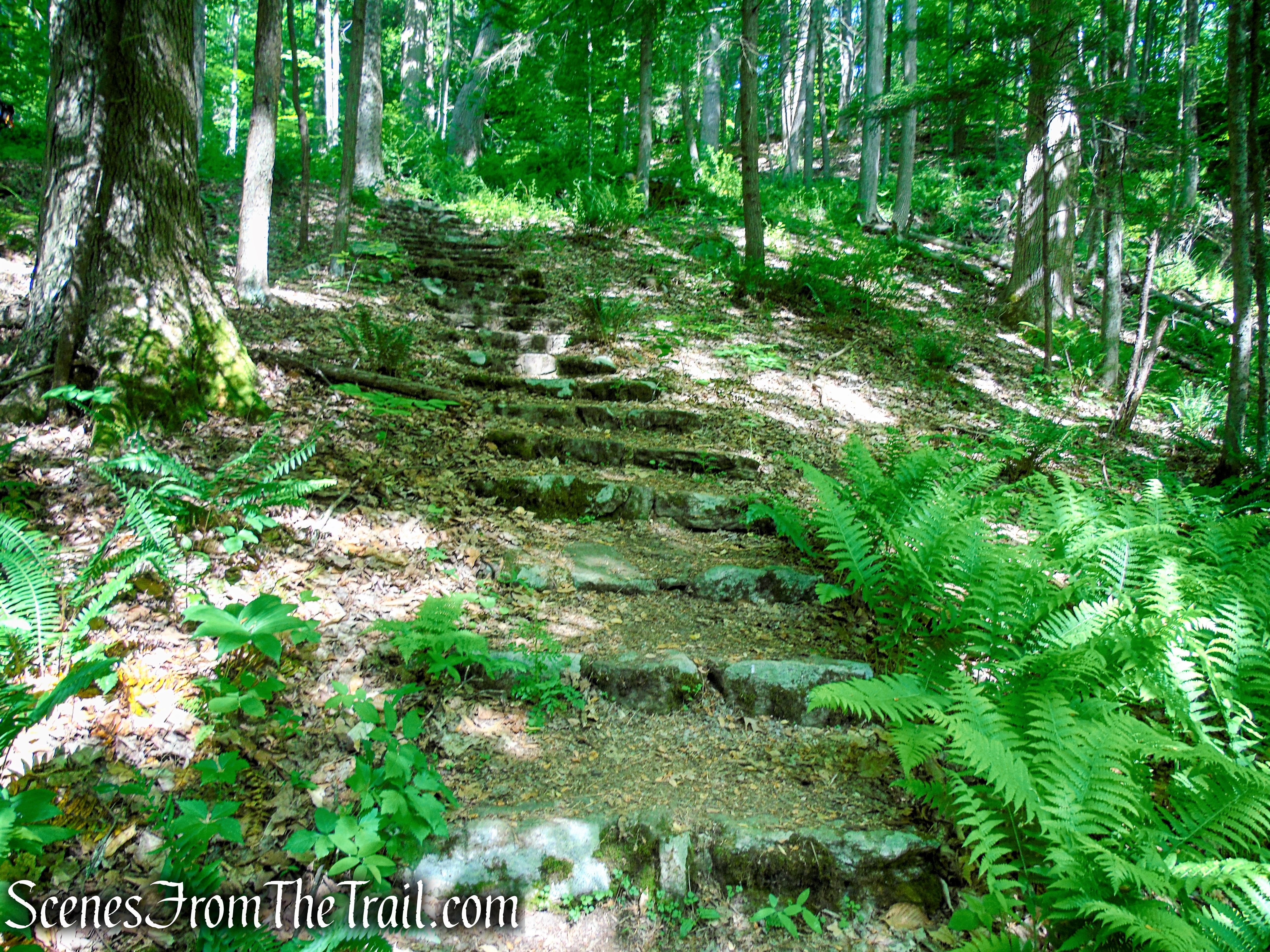 Orange Trail - Black River County Park