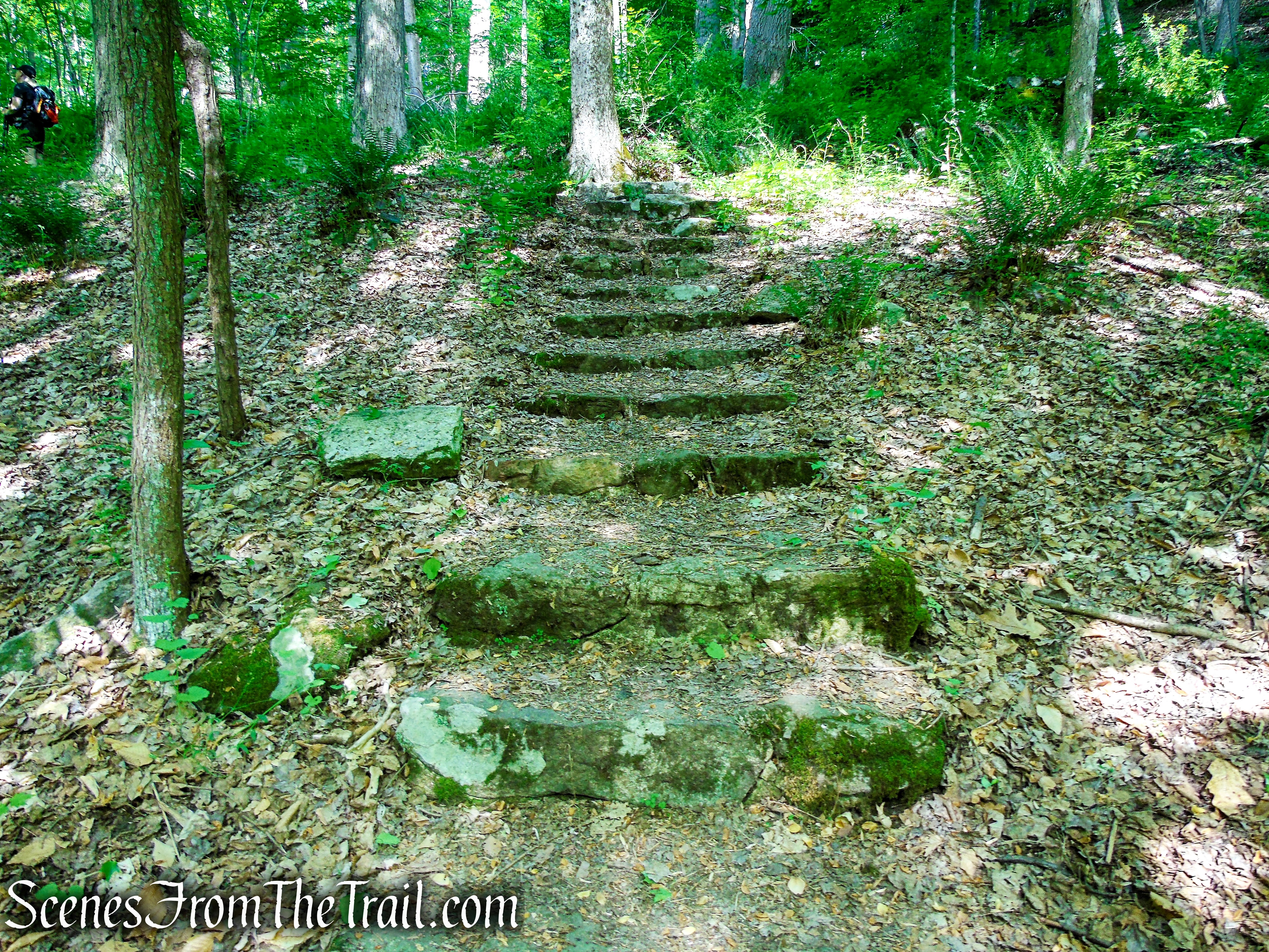 Orange Trail - Black River County Park