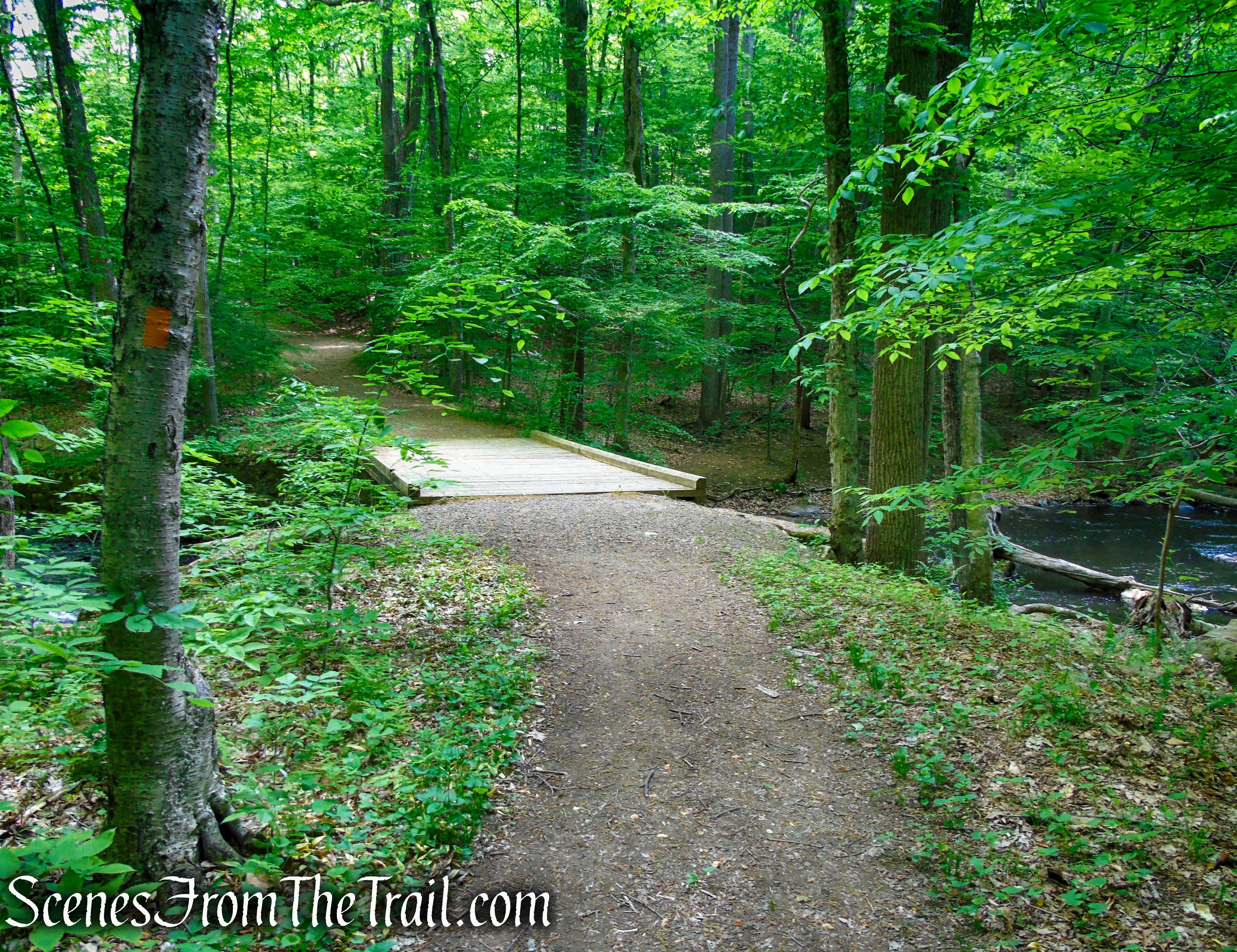 Orange Trail - Black River County Park