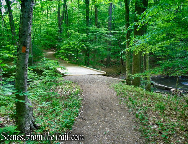 Orange Trail - Black River County Park