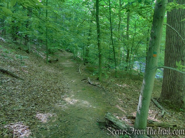 Green/Orange Connector Trail - Black River County Park