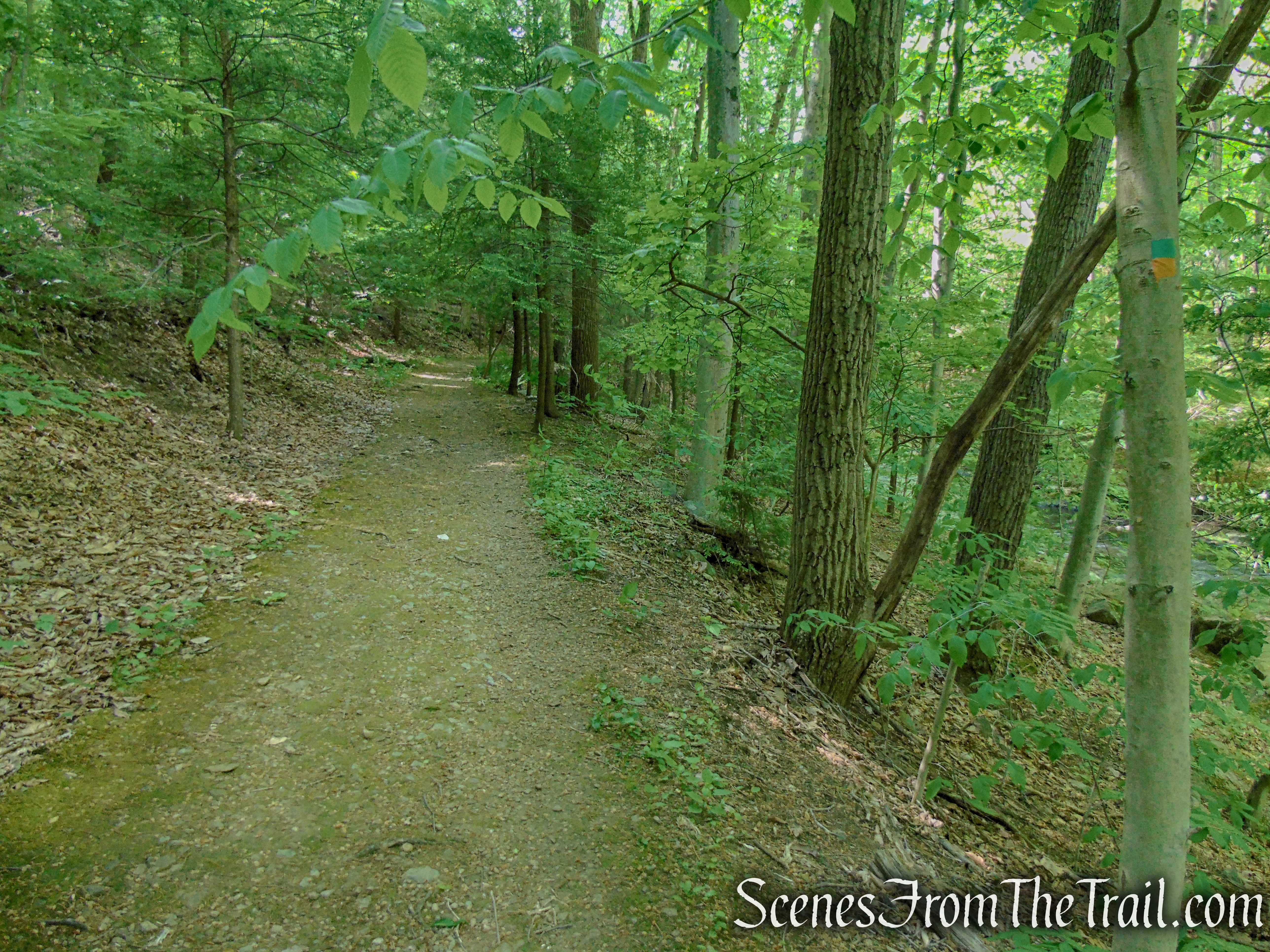 Green/Orange Connector Trail - Black River County Park