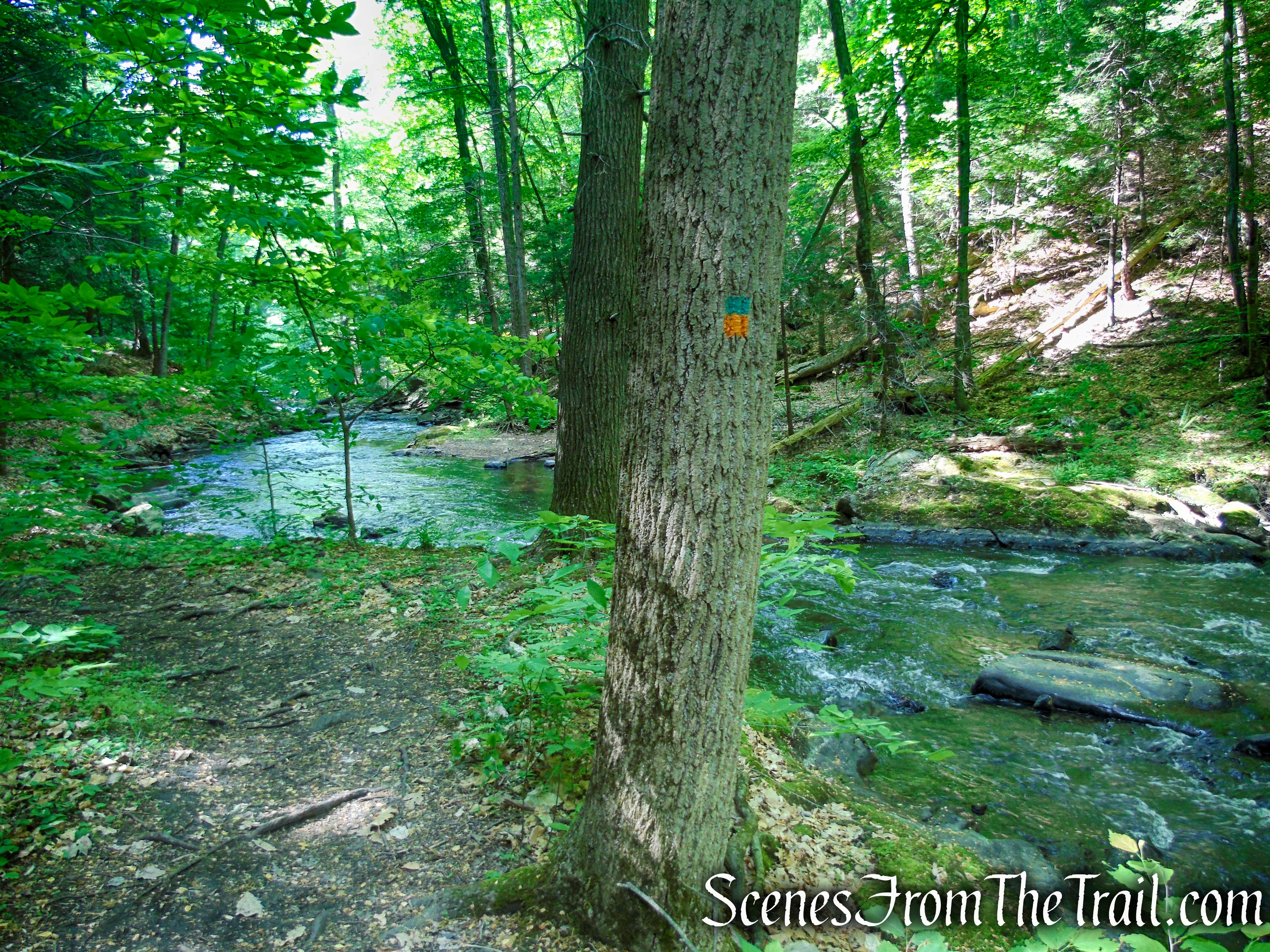 Green/Orange Connector Trail - Black River County Park