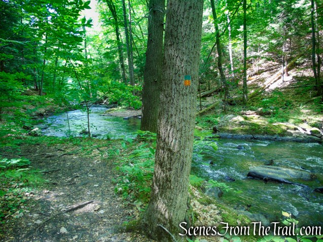 Green/Orange Connector Trail - Black River County Park