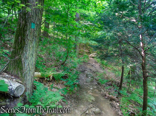 Green Trail - Black River County Park