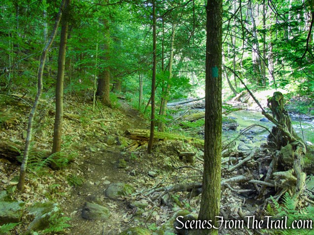 Green Trail - Black River County Park