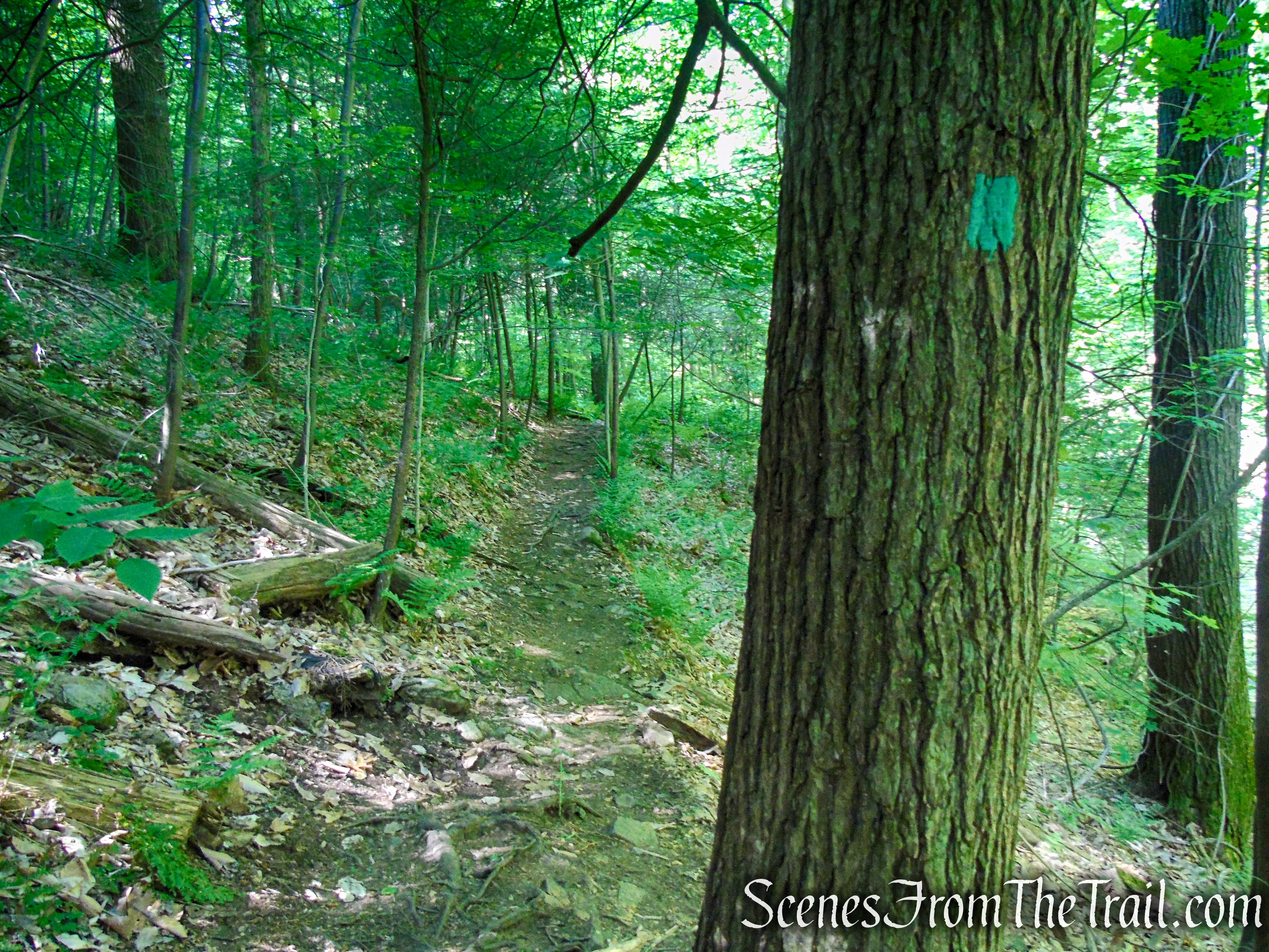 Green Trail - Black River County Park