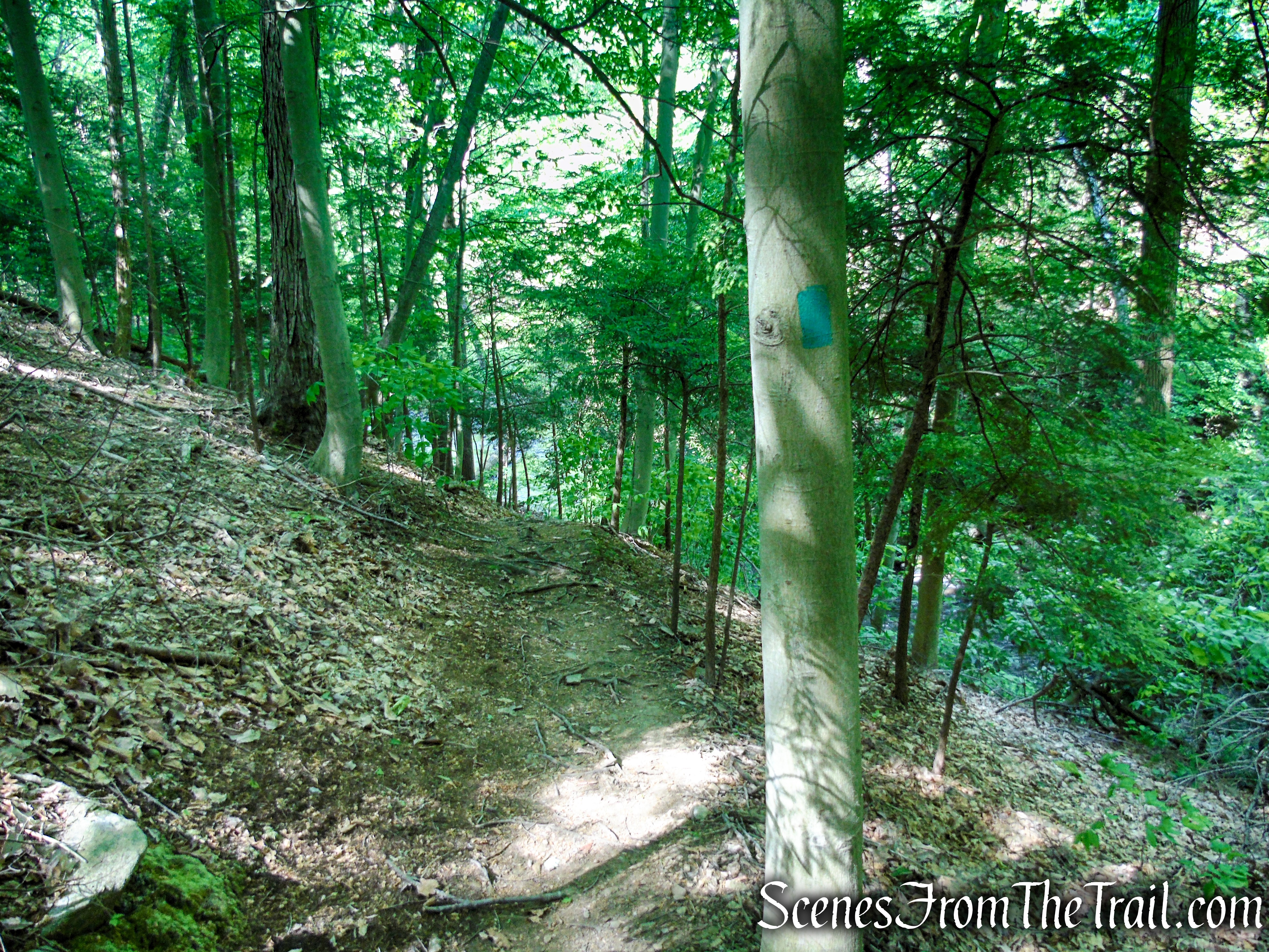 Green Trail - Black River County Park