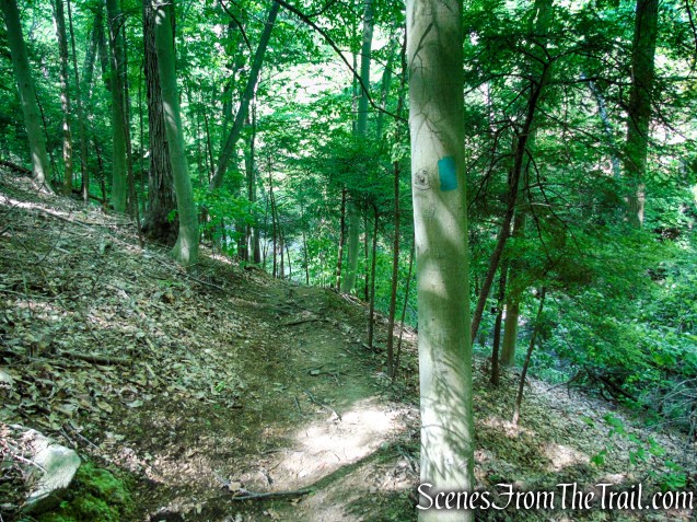 Green Trail - Black River County Park