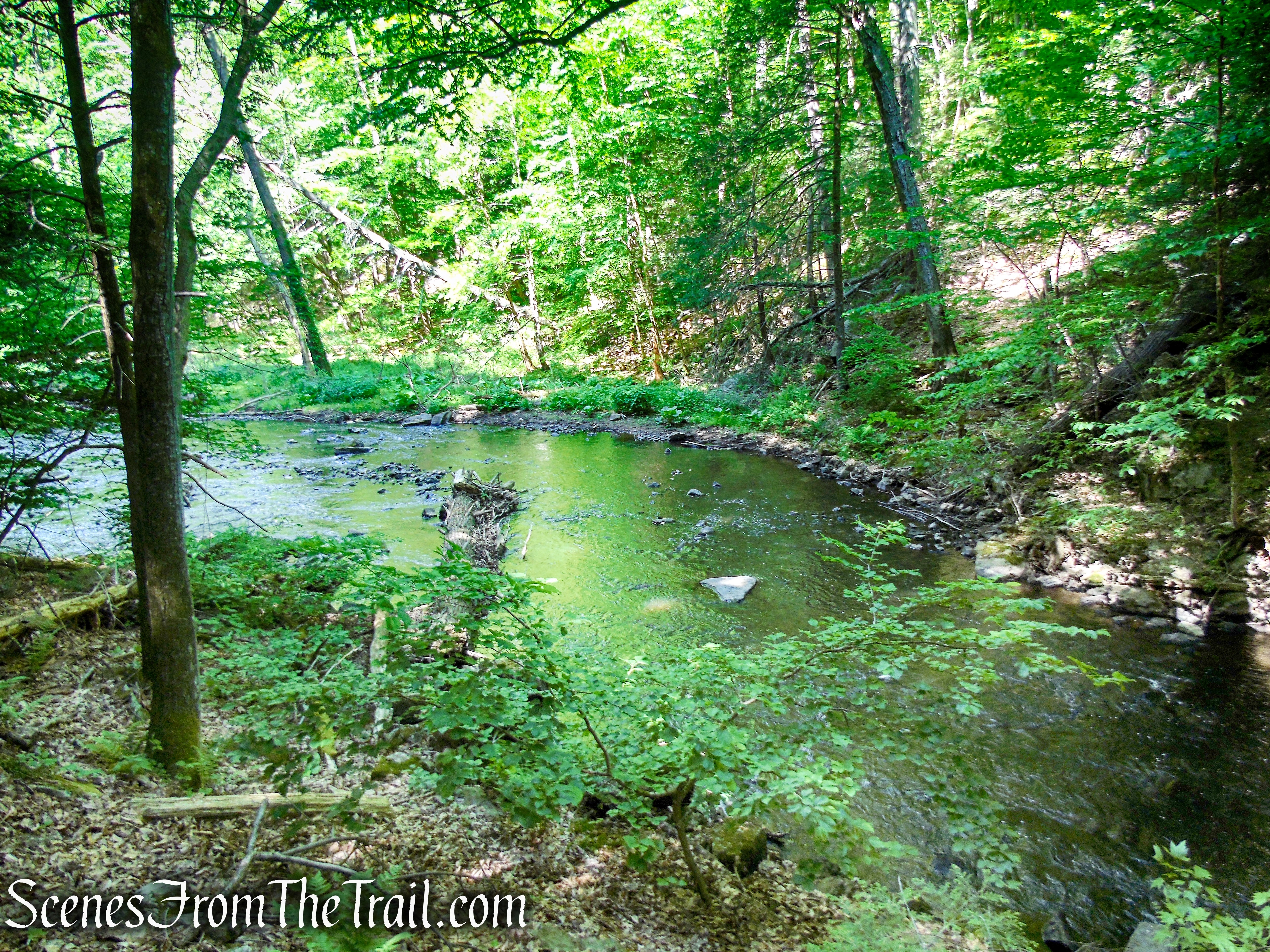 Green Trail - Black River County Park