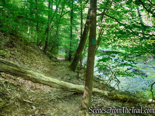 Green Trail - Black River County Park