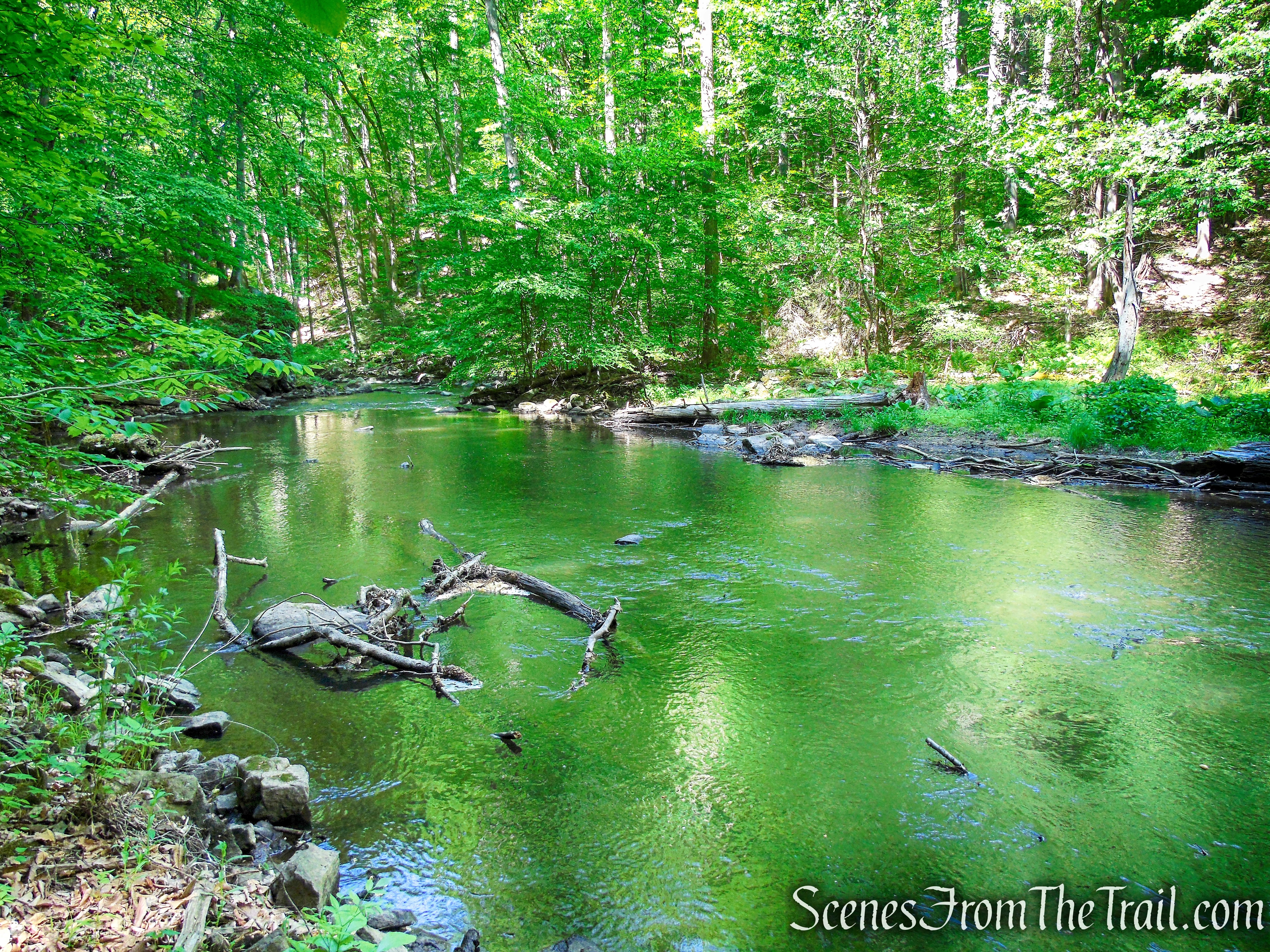 Green Trail - Black River County Park