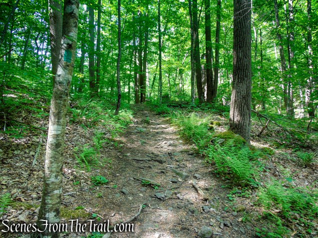 Green Trail - Black River County Park