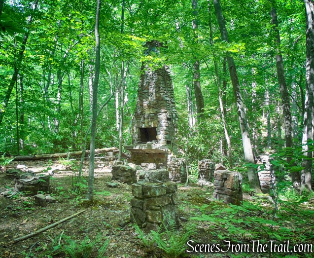 Green Trail - Black River County Park