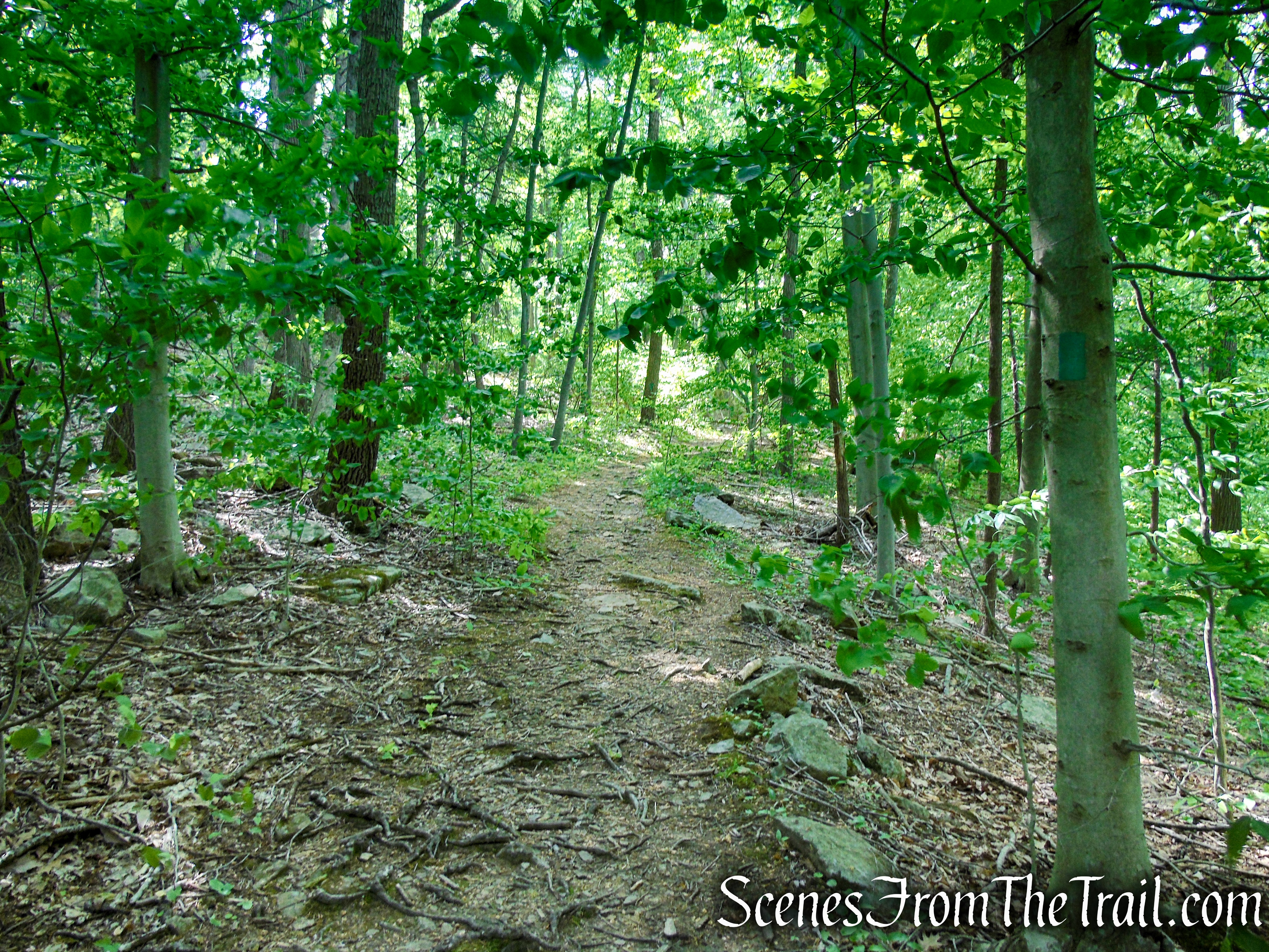 Green Trail - Black River County Park