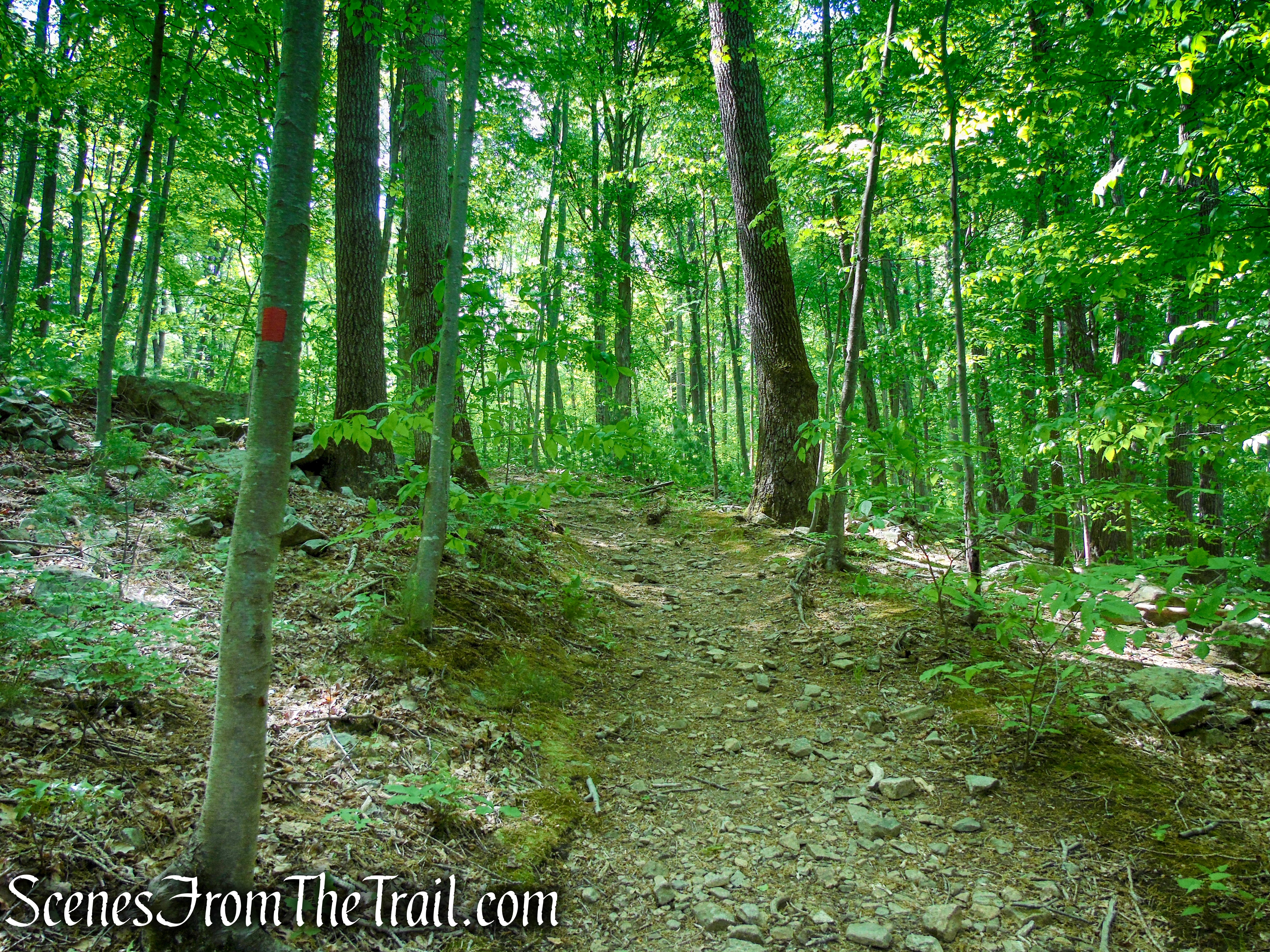 Red Trail - Black River County Park