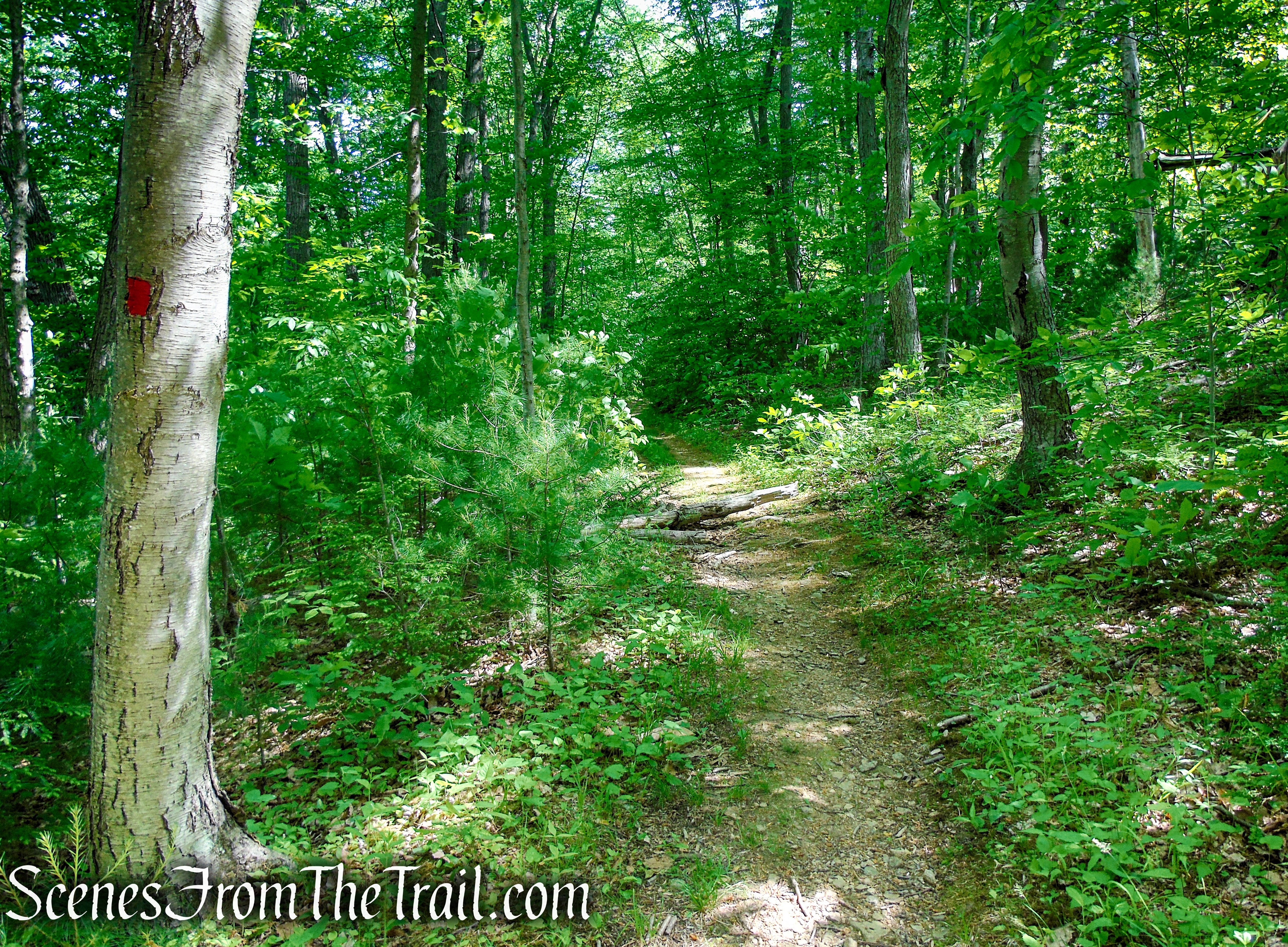 Red Trail - Black River County Park
