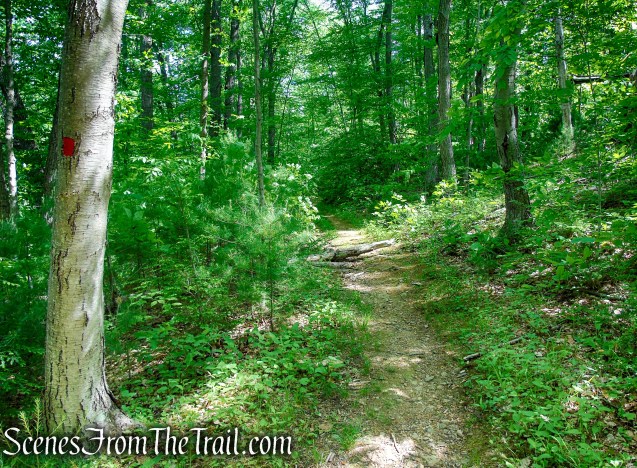 Red Trail - Black River County Park