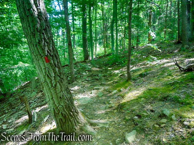Red Trail - Black River County Park
