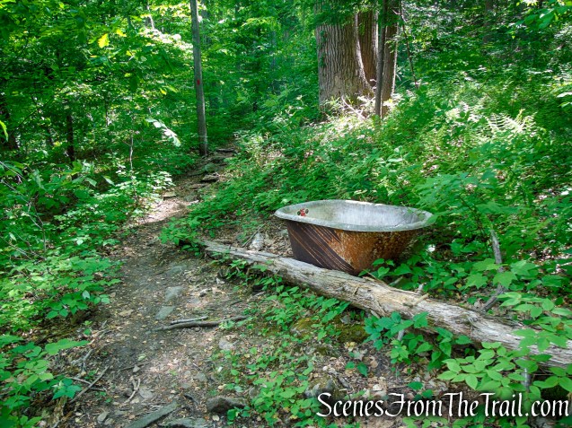 Red Trail - Black River County Park