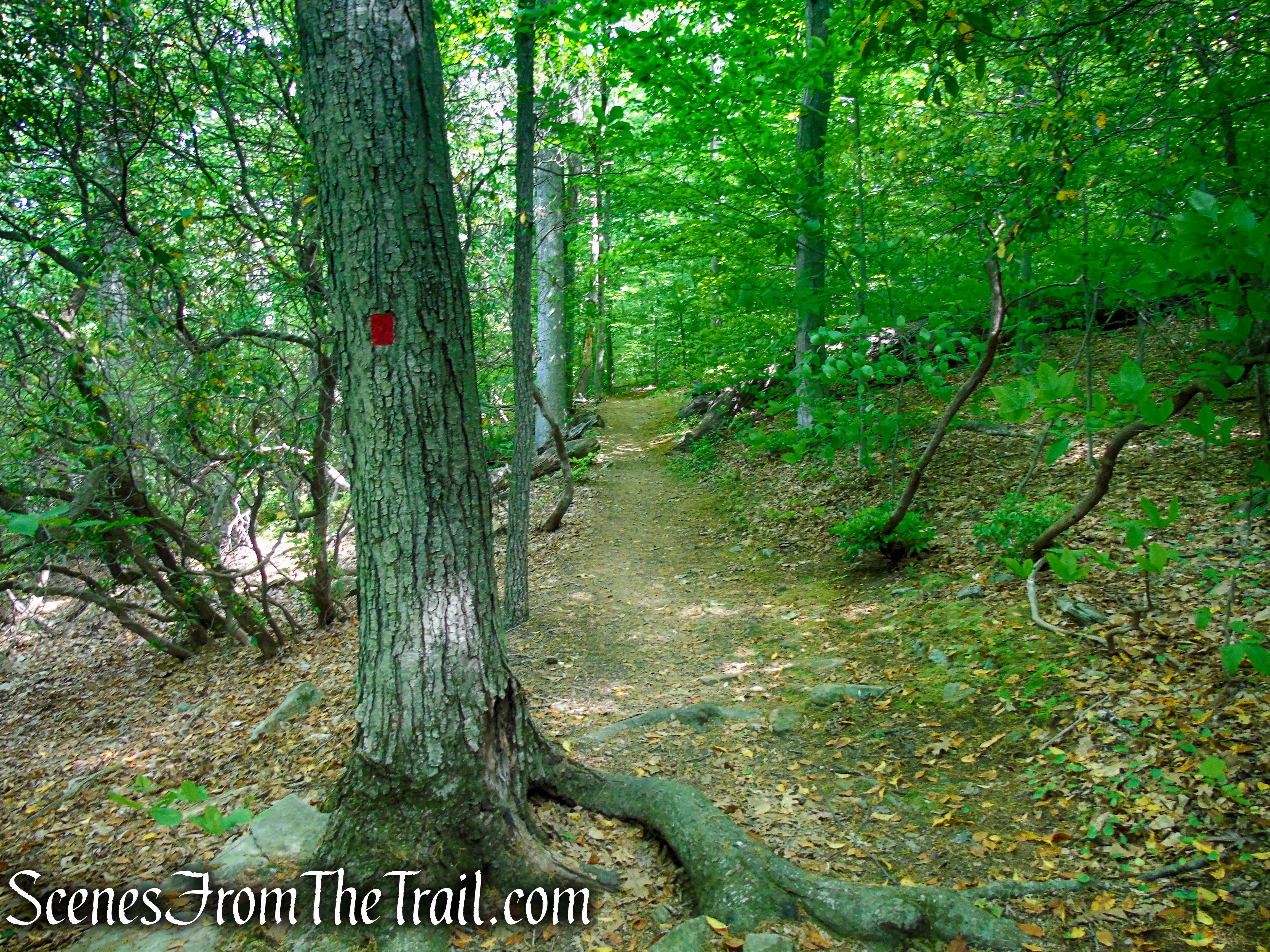 Red Trail - Black River County Park