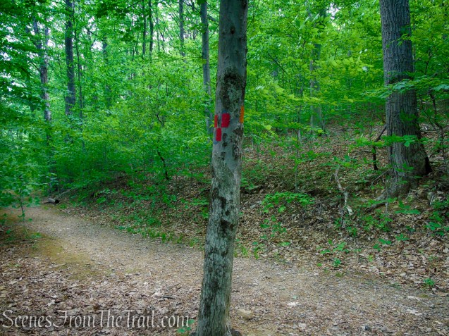 Turn left on Orange Trail