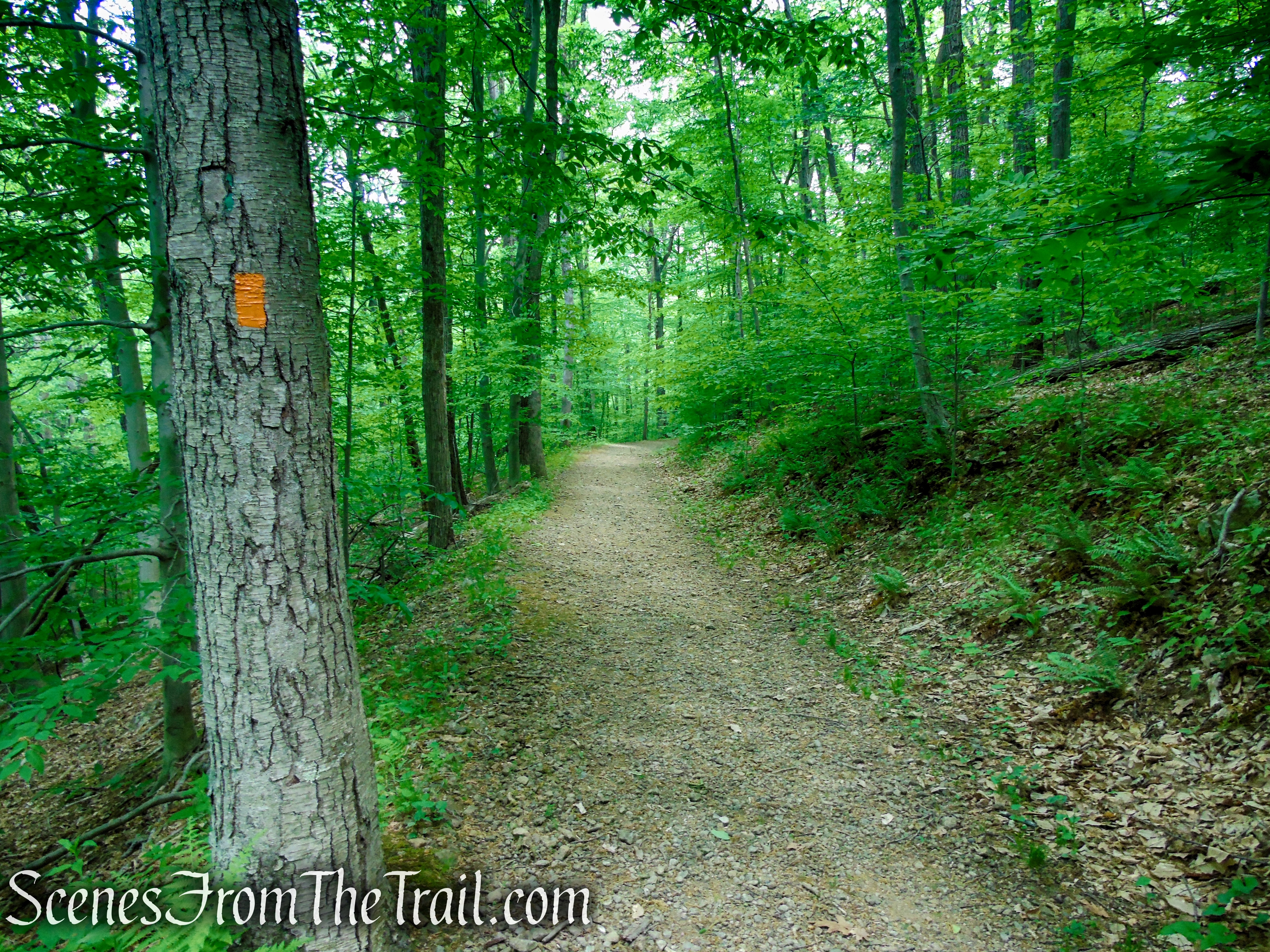 Turn left on Orange Trail