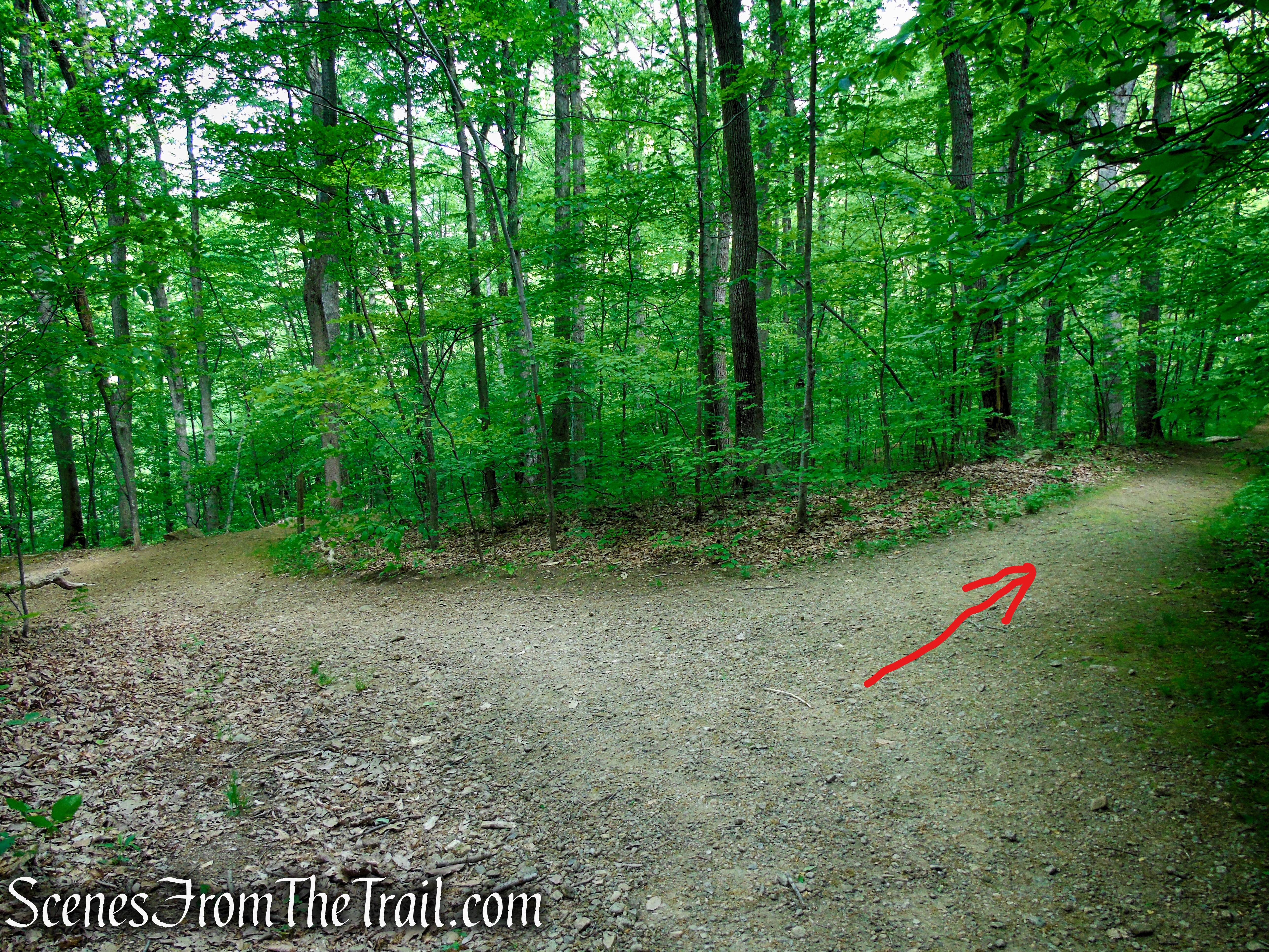 Turn right on Blue/Orange Connector Trail
