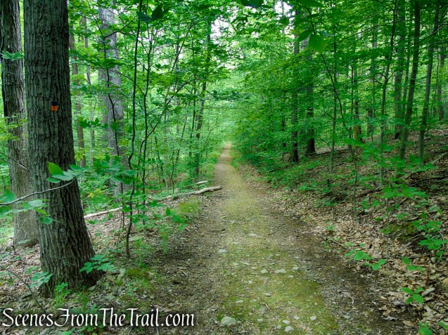 Blue/Orange Connector Trail - Black River County Park