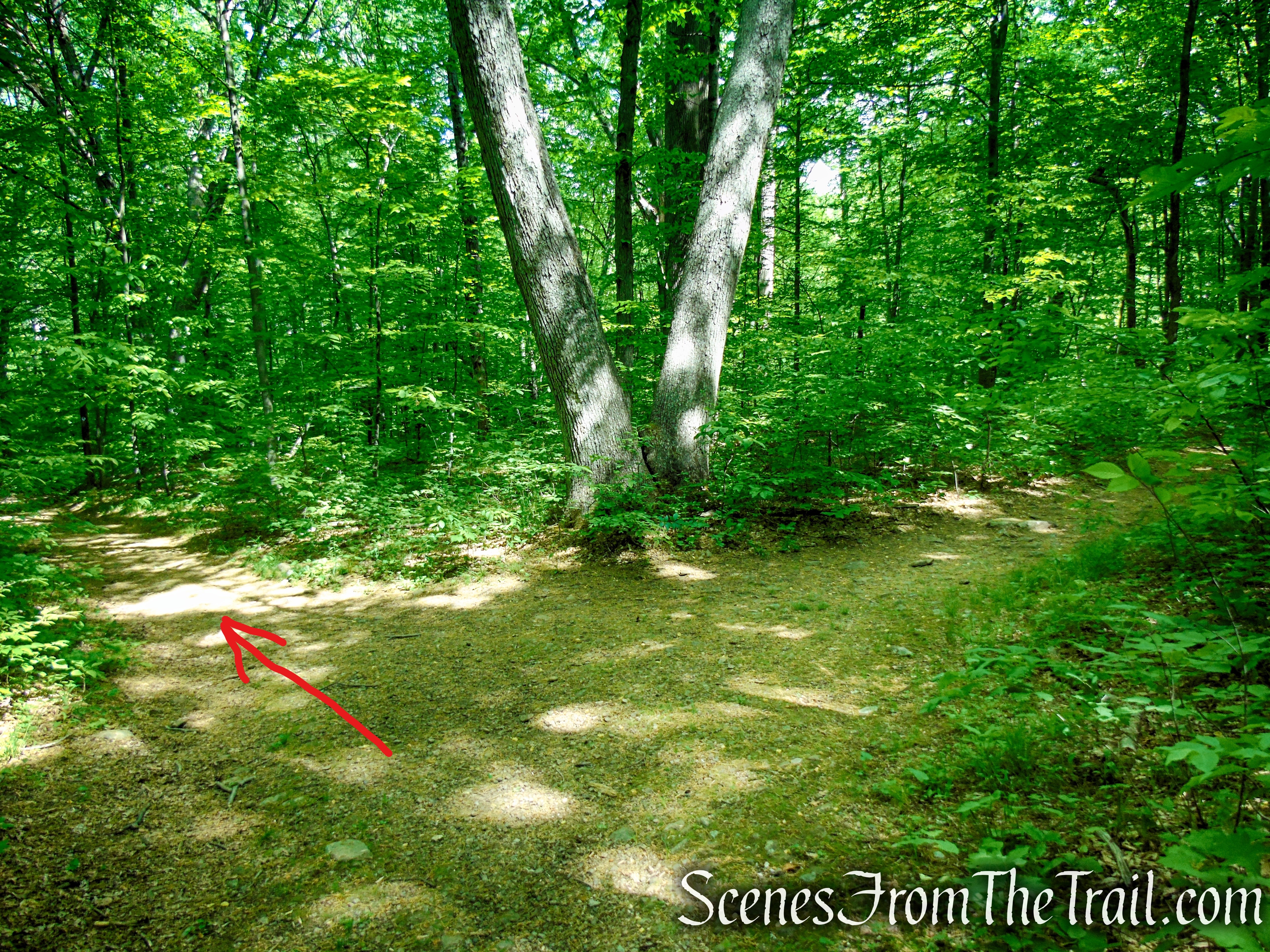 Turn left on Patriots’ Path