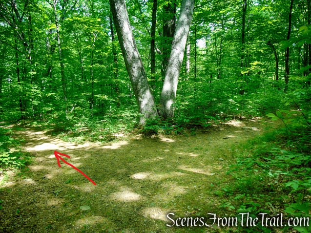 Turn left on Patriots’ Path