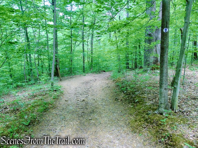 Patriots’ Path - Black River County Park
