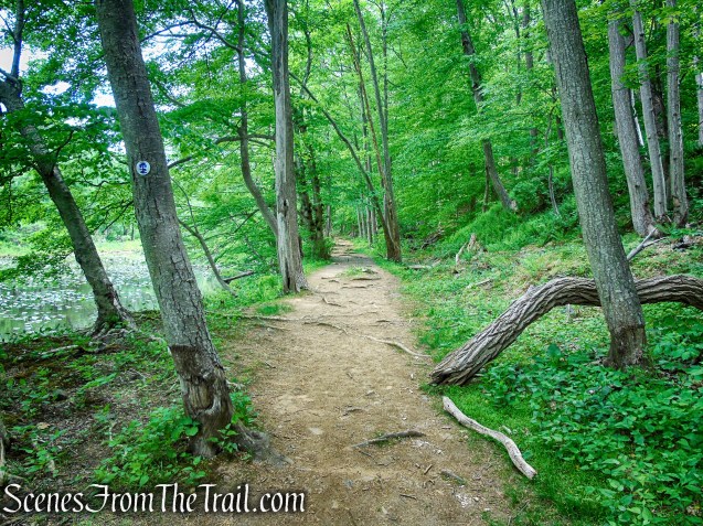 Patriots’ Path - Black River County Park