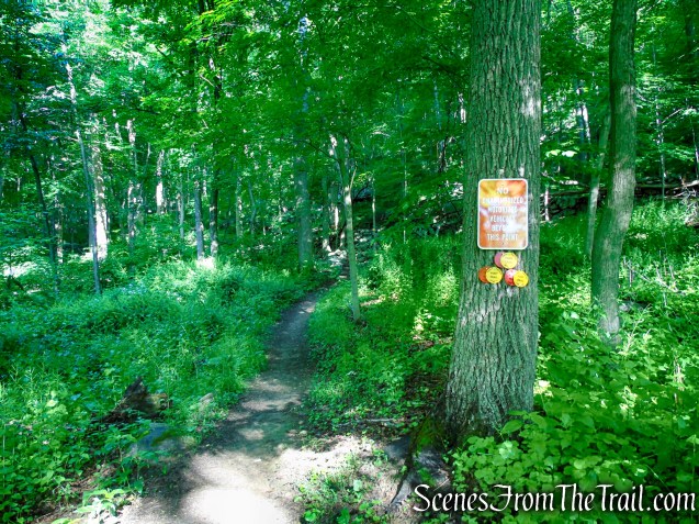 Red-Yellow Trail - Granite Mountain Preserve