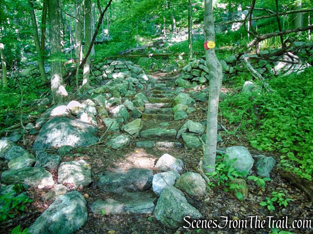 Red-Yellow Trail - Granite Mountain Preserve