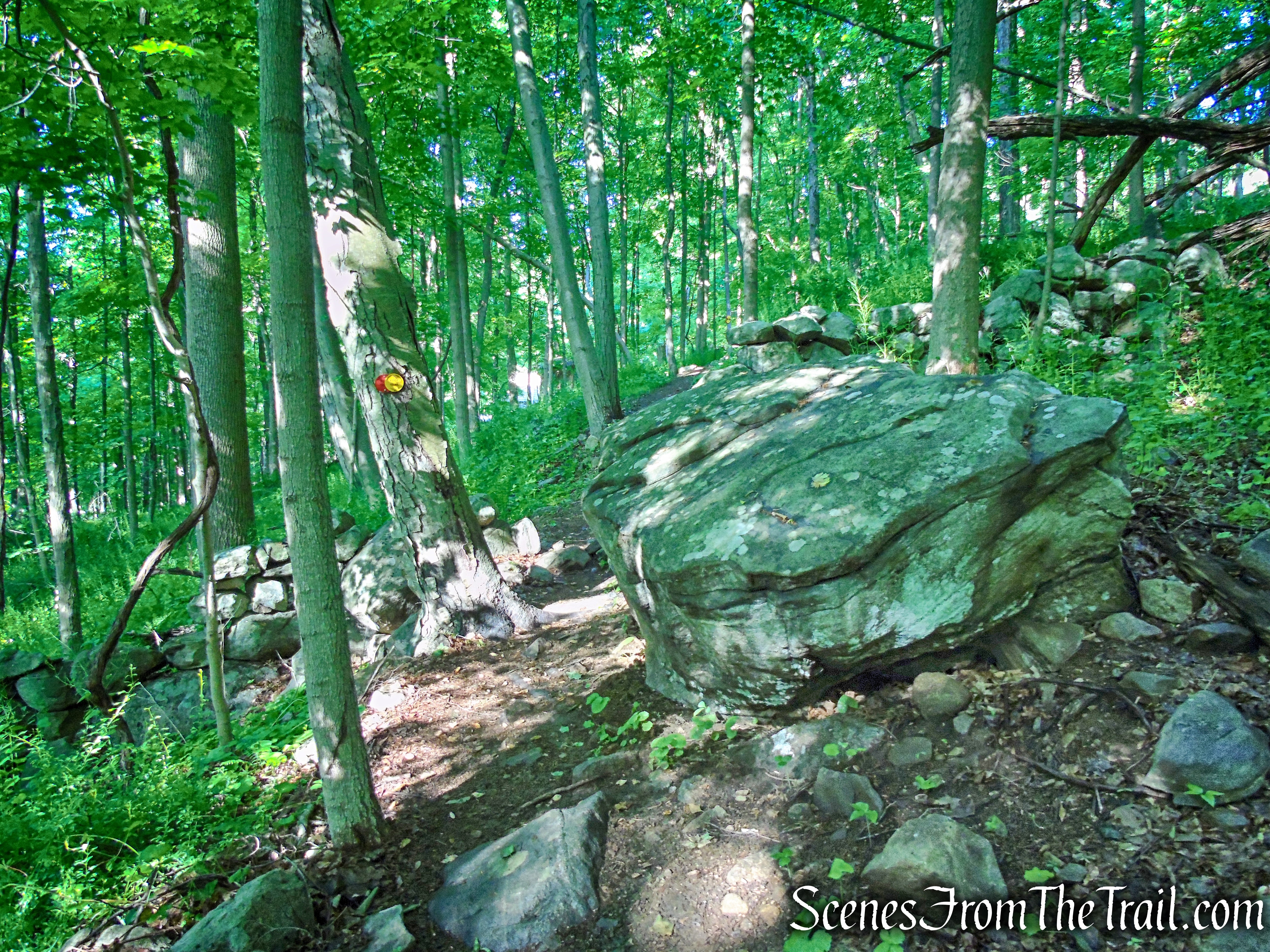 Red-Yellow Trail - Granite Mountain Preserve