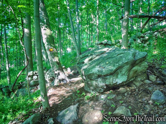 Red-Yellow Trail - Granite Mountain Preserve