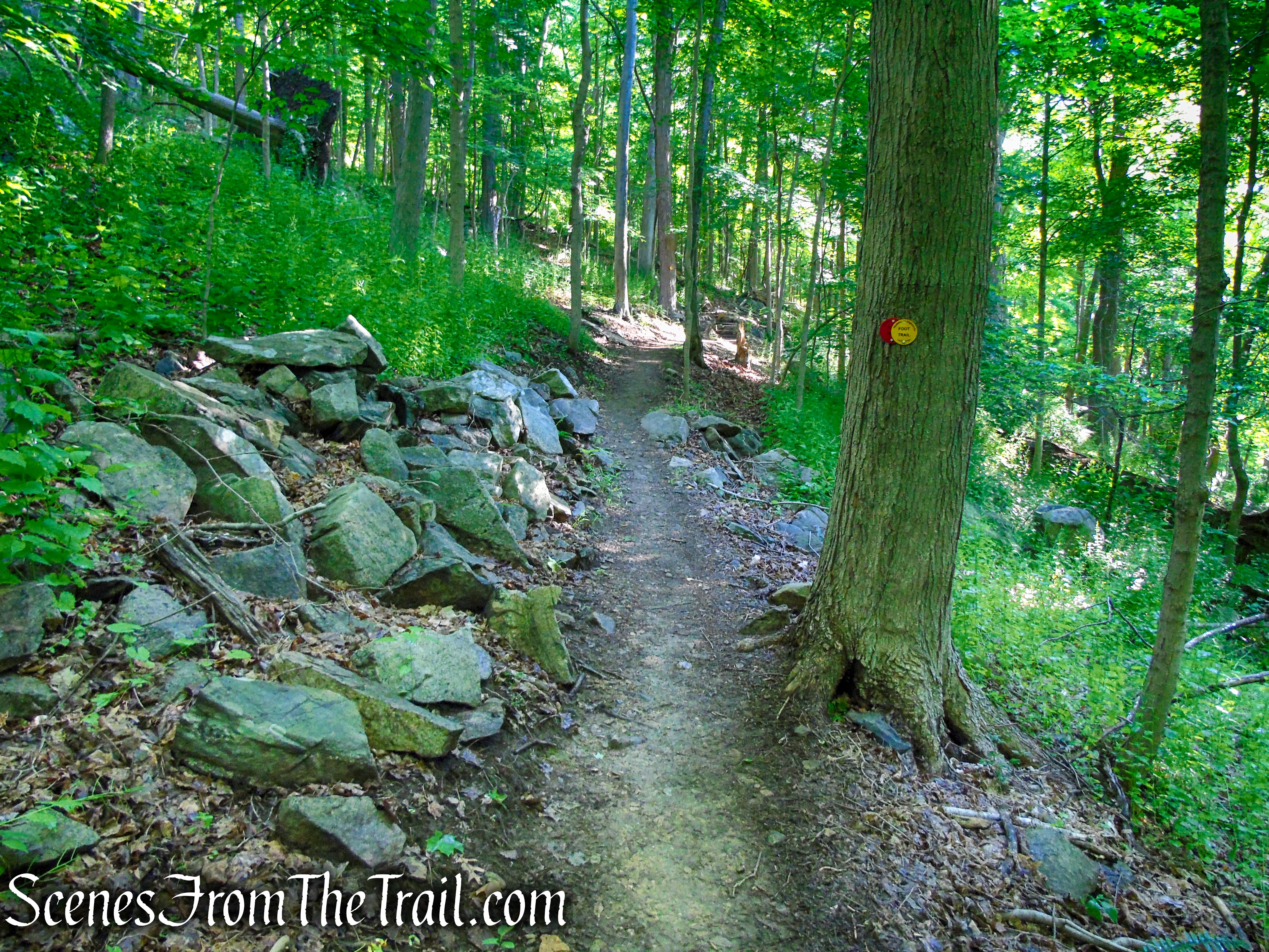 Red-Yellow Trail - Granite Mountain Preserve