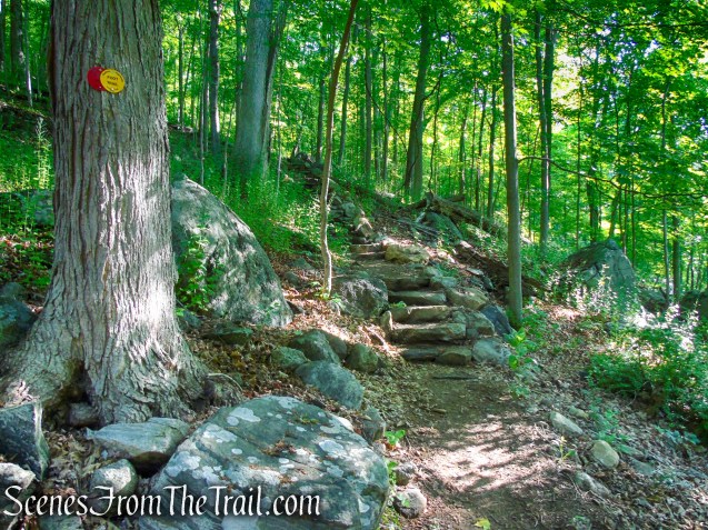 Red-Yellow Trail - Granite Mountain Preserve