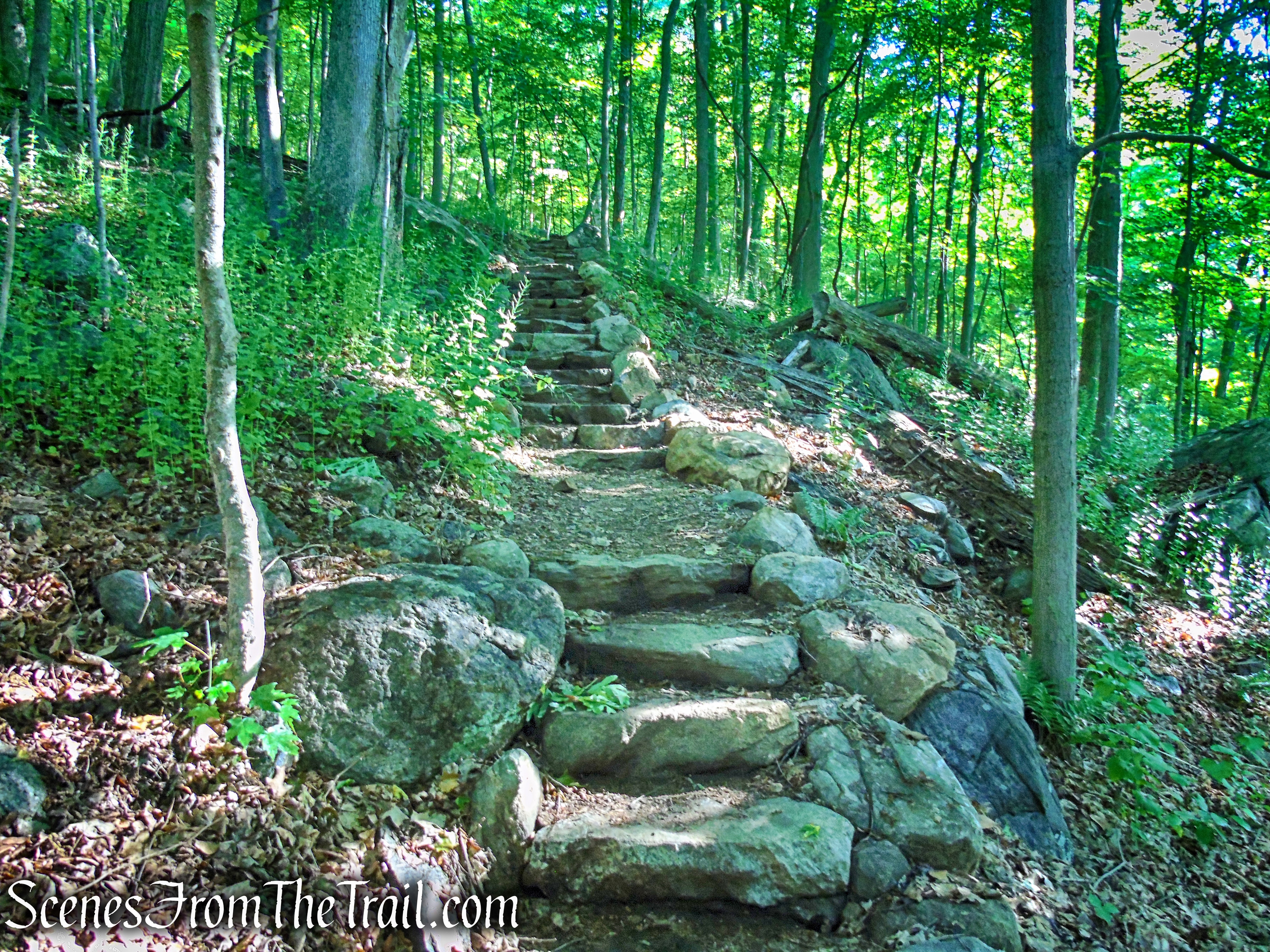 Red-Yellow Trail - Granite Mountain Preserve
