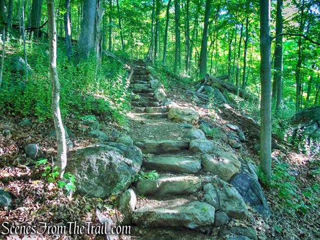 Red-Yellow Trail - Granite Mountain Preserve
