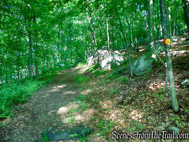 Red-Yellow Trail - Granite Mountain Preserve