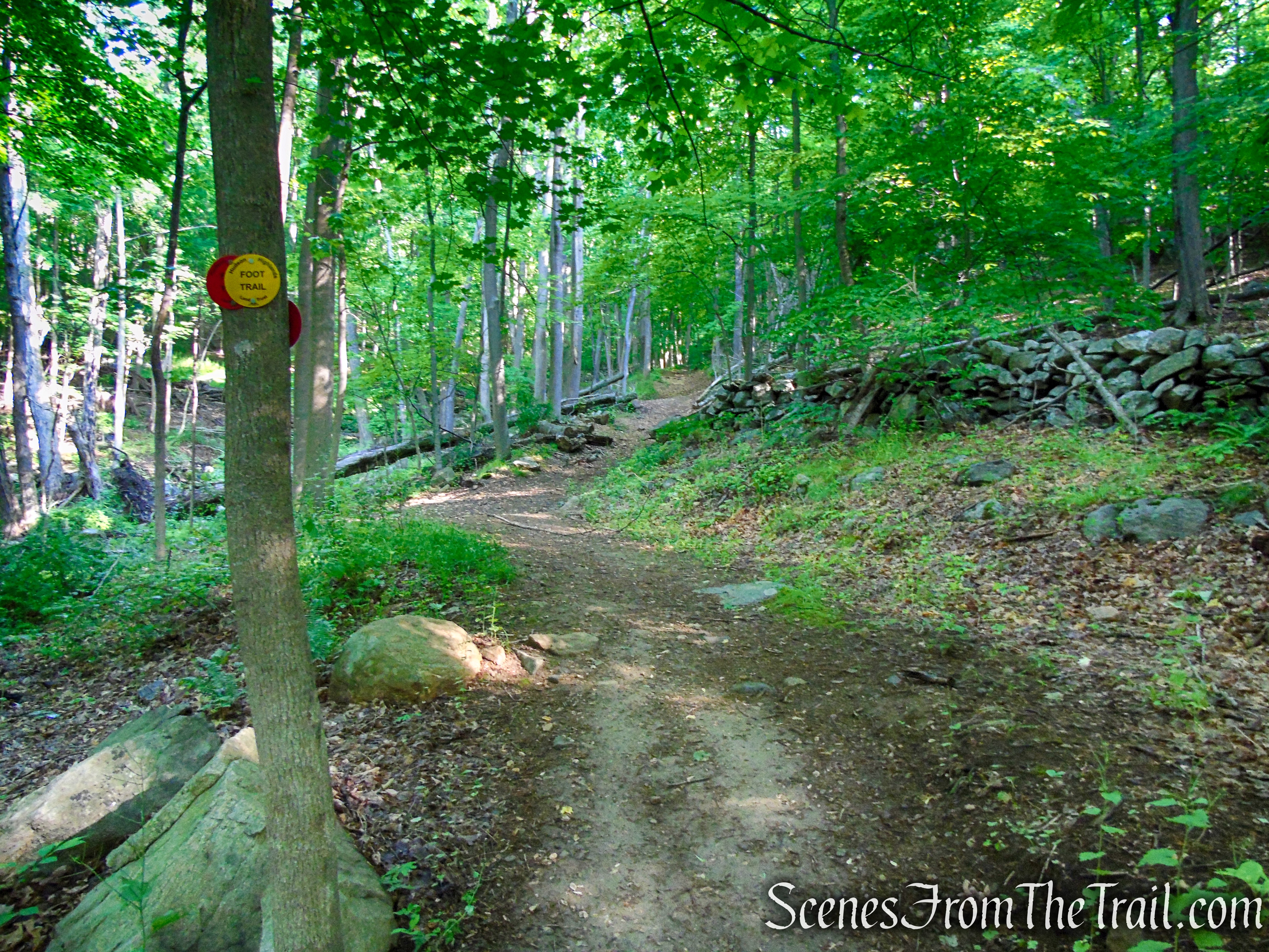 Red-Yellow Trail - Granite Mountain Preserve