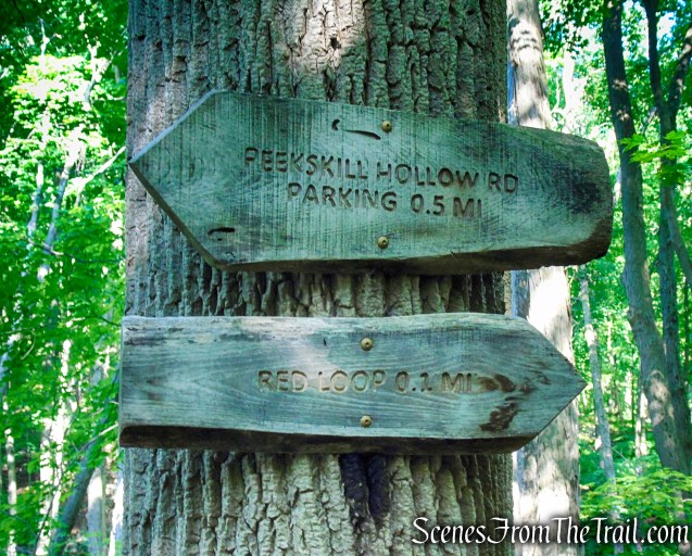 Red-Yellow Trail - Granite Mountain Preserve