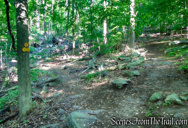 Continue straight past the junction with the lower leg of the Yellow Trail