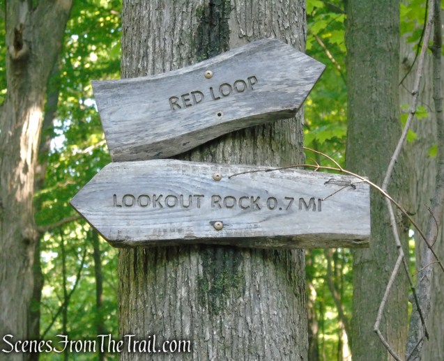 Turn left on the Yellow Trail towards Lookout Rock